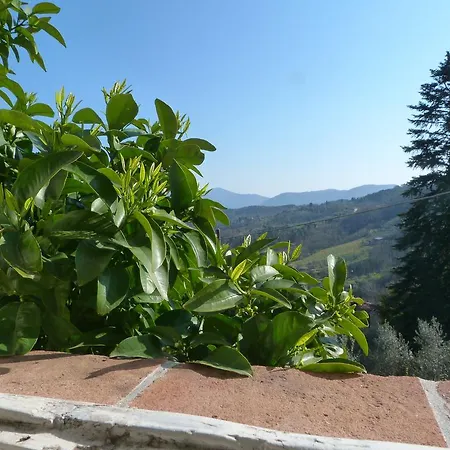 La Casa Di Toto Lucca
