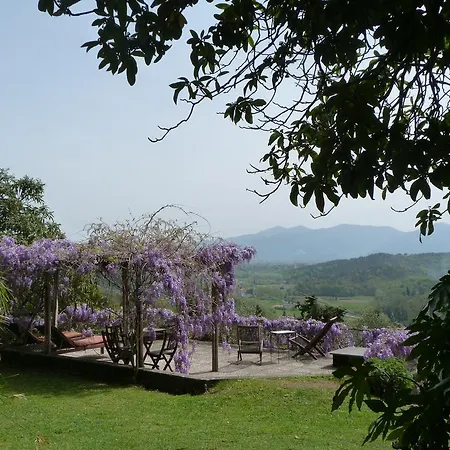Casa vacanze La Casa Di Toto Lucca